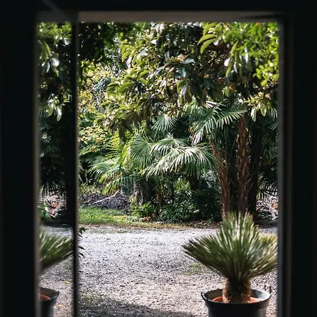 Luxury Lake Lago Maggiore Germignaga